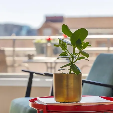 Apartament 4br Penthouse In Center With Free Parking