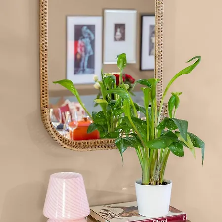 Apartament 4br Penthouse In Center With Free Parking *